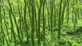 雨后泰山东御道 山水秘境藏清凉