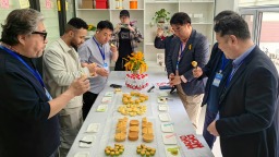 【Hi,Shandong】河阳社区便民生活坊：为民便民安民的幸福家园