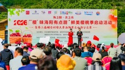 山东烟台：2026“‘樱’味海阳有点甜”鲜美樱桃季系列活动甜蜜启幕