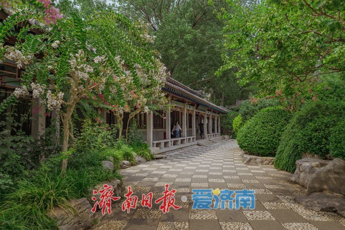 酷暑时节，来济南万竹园解锁夏日清凉