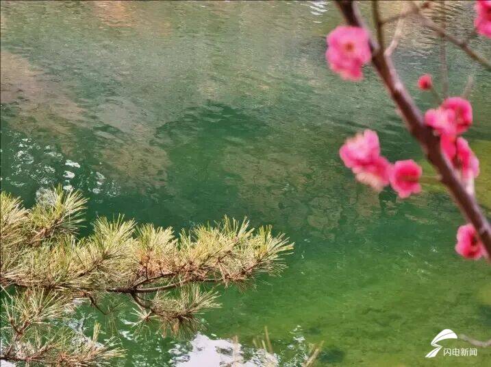 山东泰安：春到彩石溪 花开醉春风