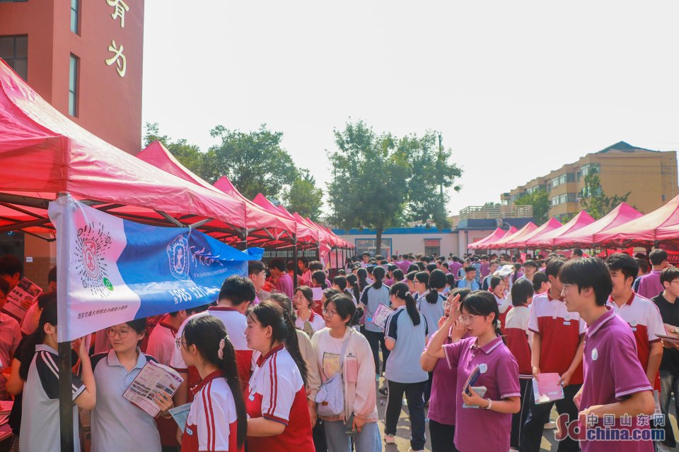 山东高密：公益咨询助力高考志愿填报_fororder_11