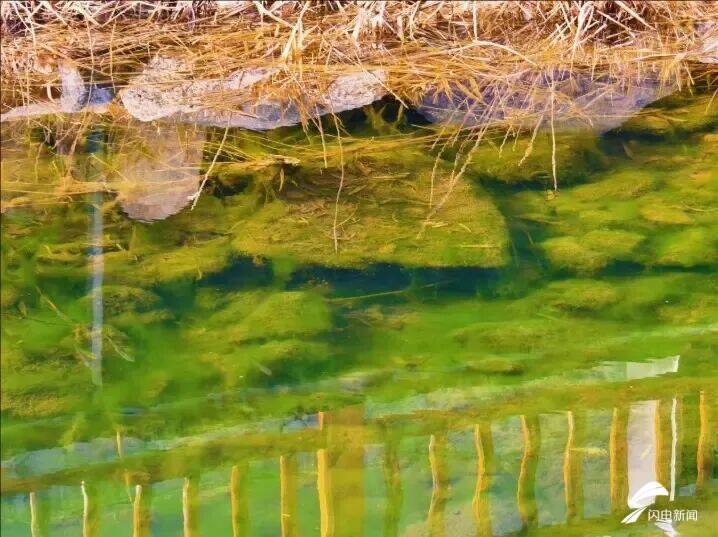 山东泰安：春到彩石溪 花开醉春风