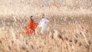 淄博高青：芦花飞雪 安澜诗画