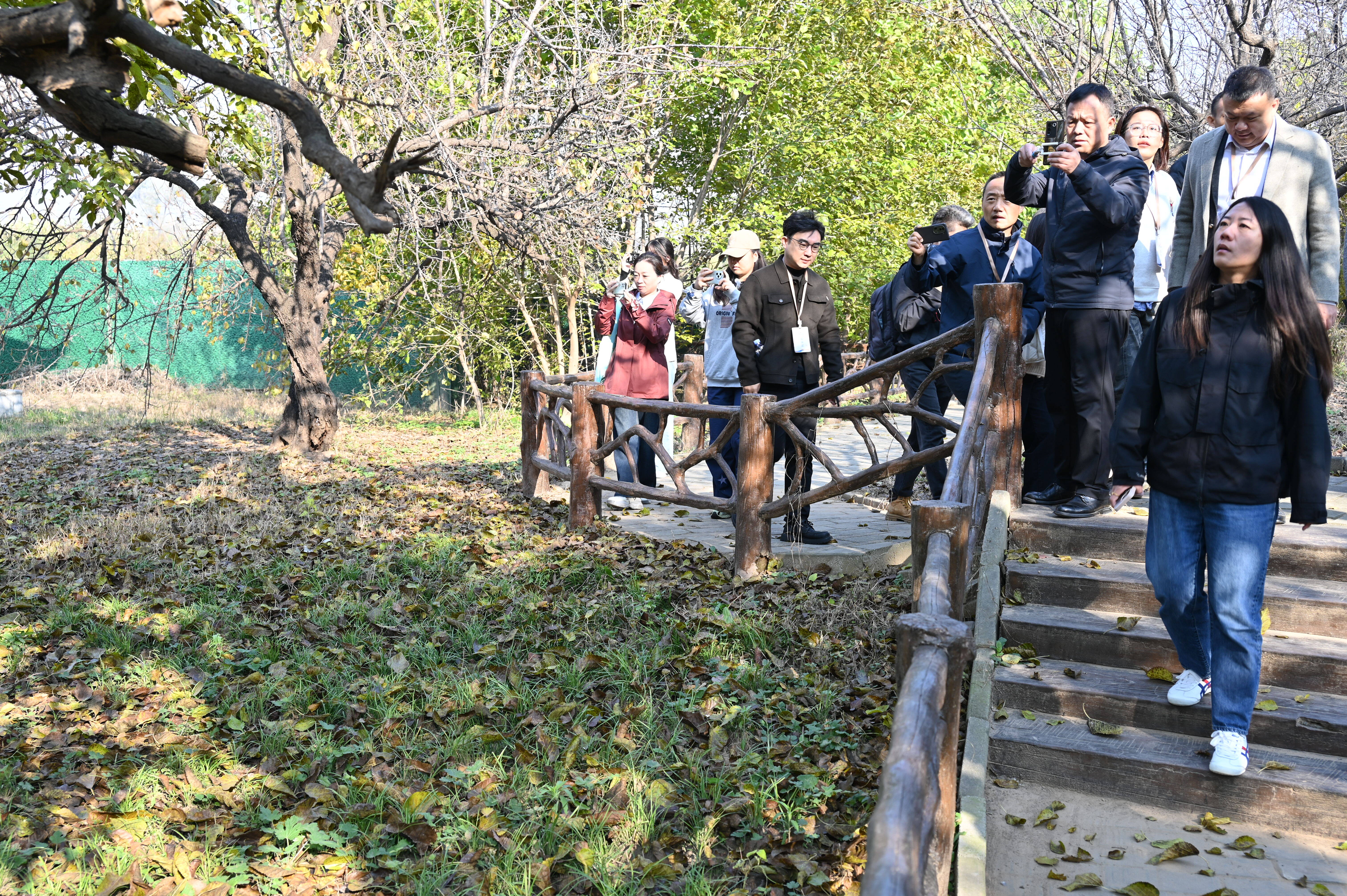 夏津：农旅融合多元业态让古老黄河故道焕发新生_fororder_2