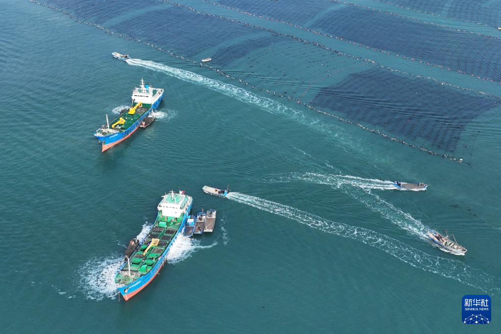 四中全会精神在基层｜山东：耕海牧渔充盈“蓝色粮仓”