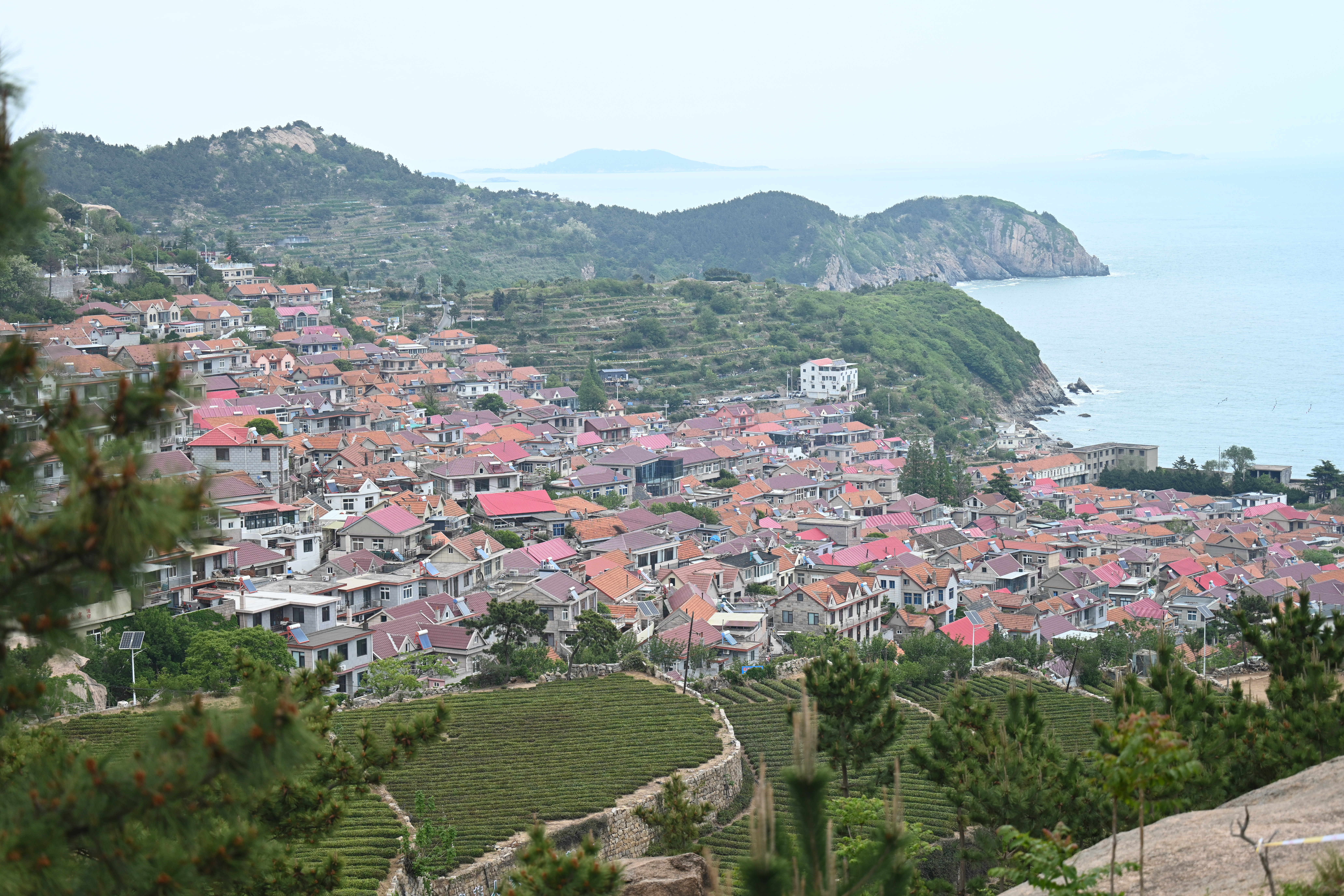【Hi,Shandong】“Hi,Shandong—机遇中国 青岛优品”海外媒体青岛行活动走进青山渔村，邂逅山海田园诗意_fororder_DSC_1771.JPG