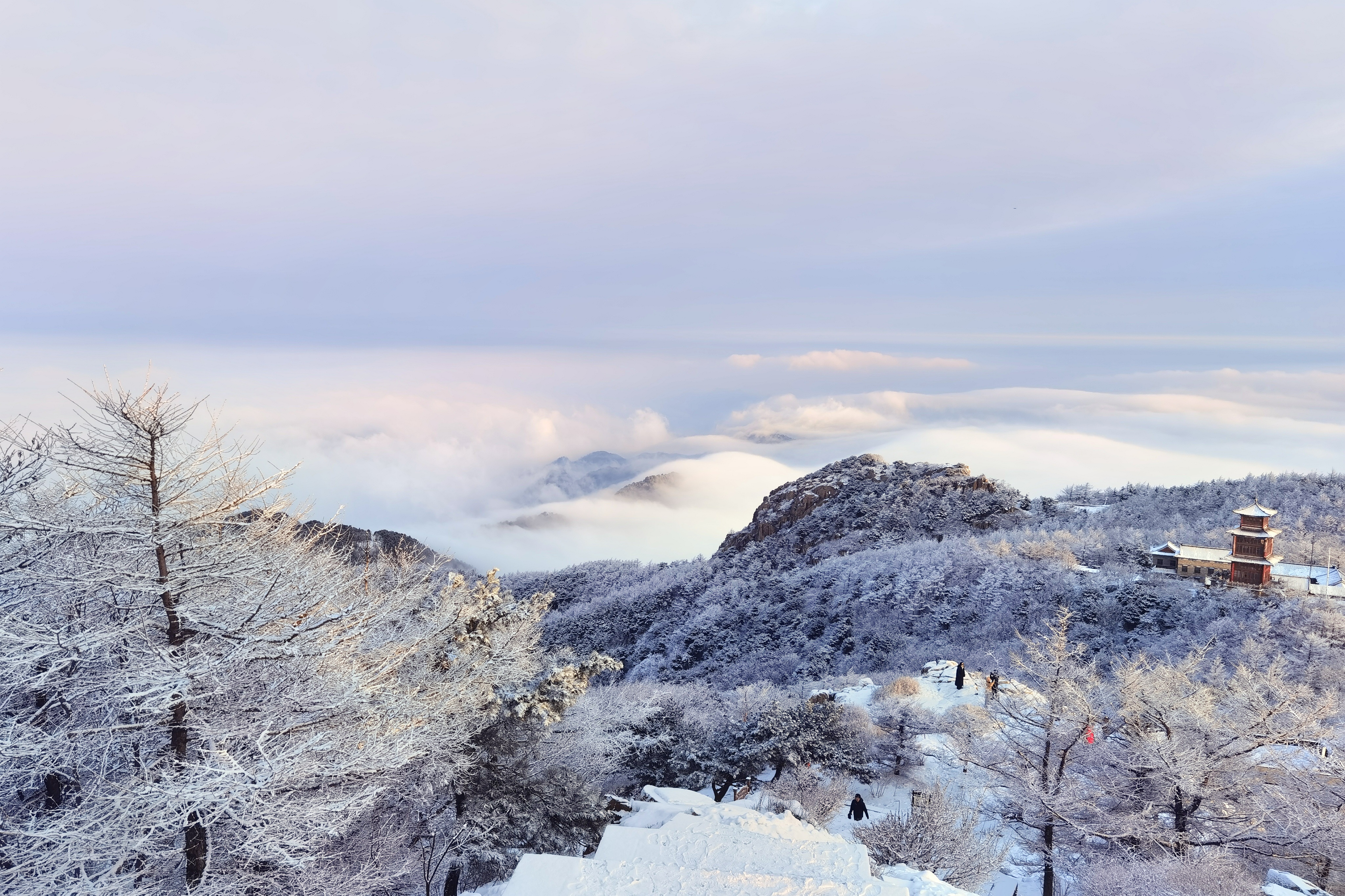 雪后泰山披银装 云海日出醉游人_fororder_【雪后泰山】5