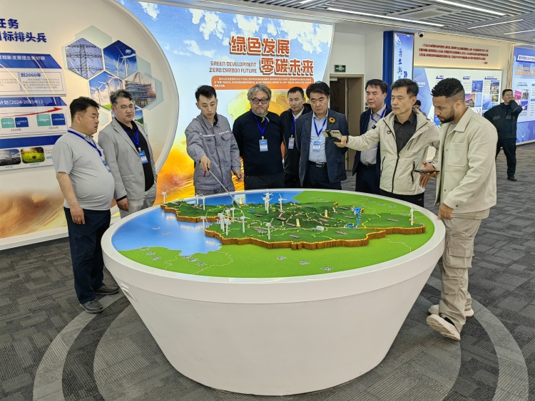 【Hi,Shandong】外媒记者走进东营，探访全球最大开放式海上光伏项目_fororder_国家能源2 (2)