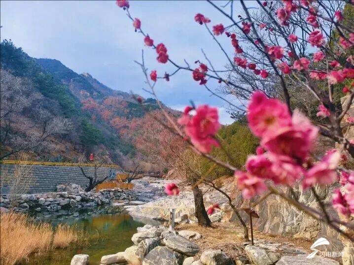 山东泰安：春到彩石溪 花开醉春风