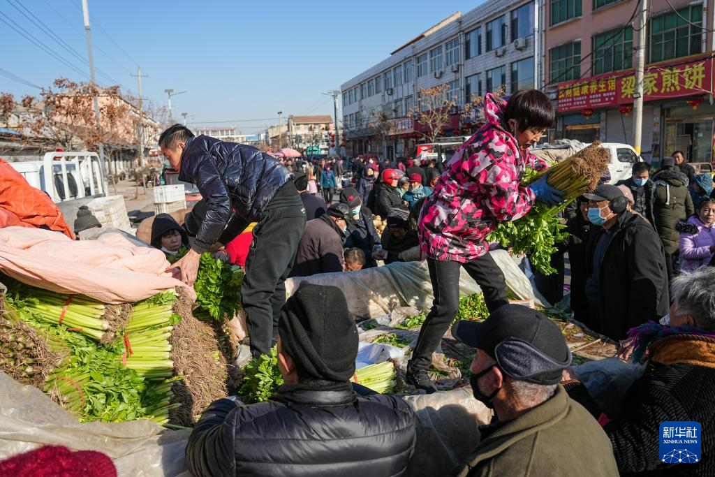山东莱芜：赶年集 置年货