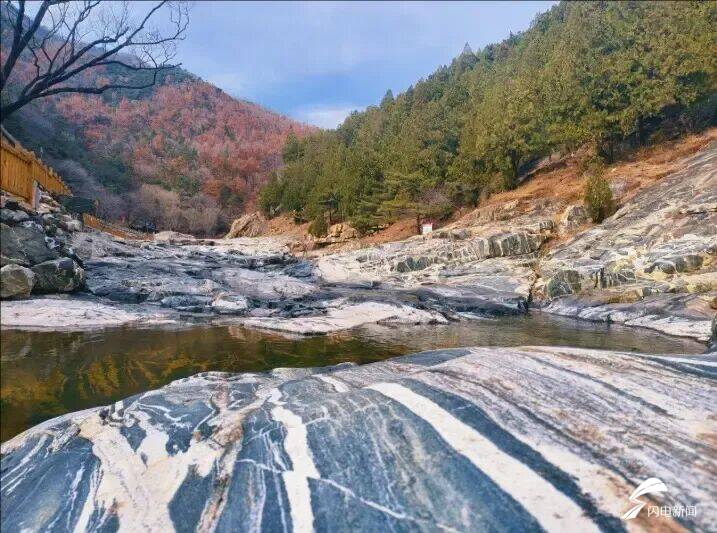 山东泰安：春到彩石溪 花开醉春风