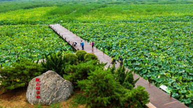 【Praise for Jining】Ancient Grand Canal Becomes "Golden Belt" Linking Jining's Cultural, Tourist Attractions