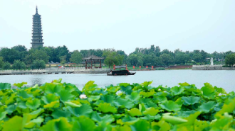 无棣古城荷花湾：乘舟碧波上 游客画中游