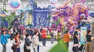 图片默认标题