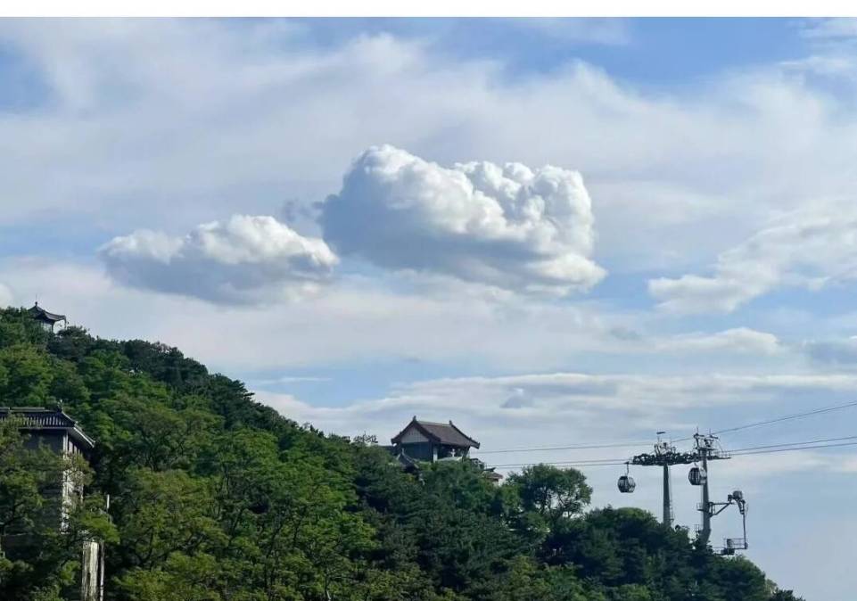 山东泰安：当夏日的风拂过泰山 云端上的美景让你一眼心动！_fororder_1