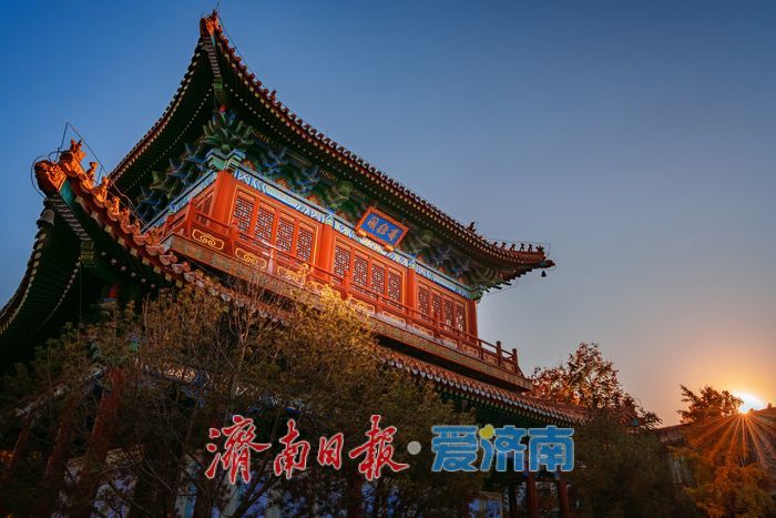 银杏金黄映红墙，济南府学文庙尽显秋韵