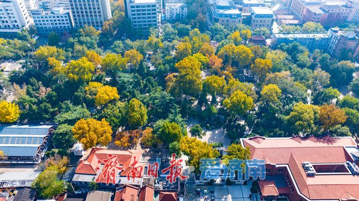 百年园林景如画:济南中山公园开启最美赏叶季