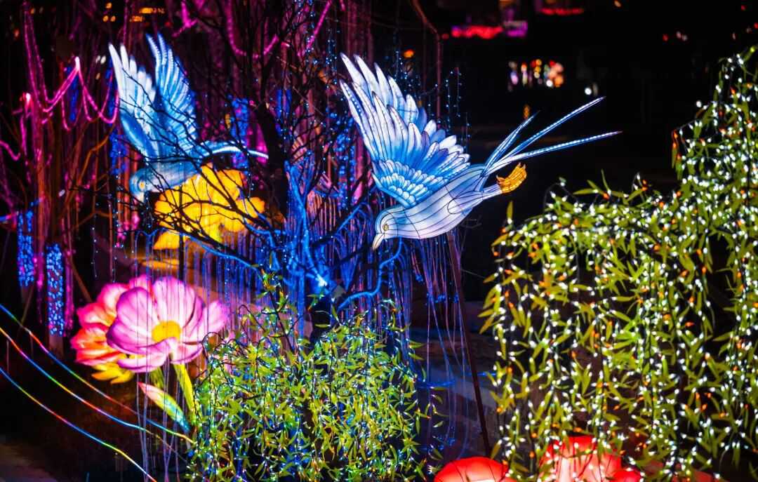 济南新春赏灯新选择，起步区鹊山生态文化区上演“大河华章·光耀鹊华”新春灯会