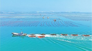 海上“春耕图”