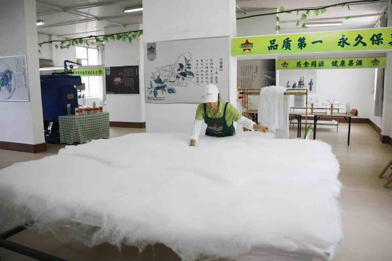 济南莱芜：深耕“一株桑” 绘就乡村振兴图
