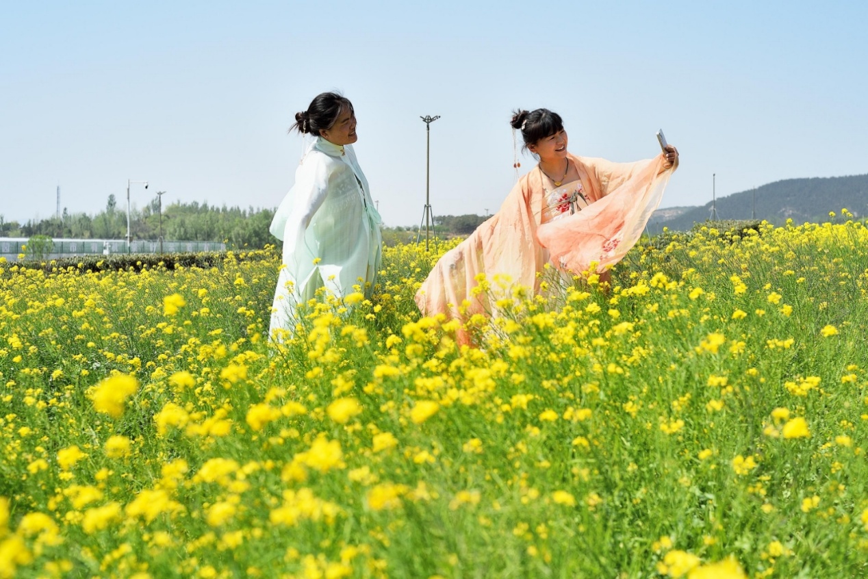 产业文旅两融合，山东“绿叶子”变身“金链子”_fororder_333