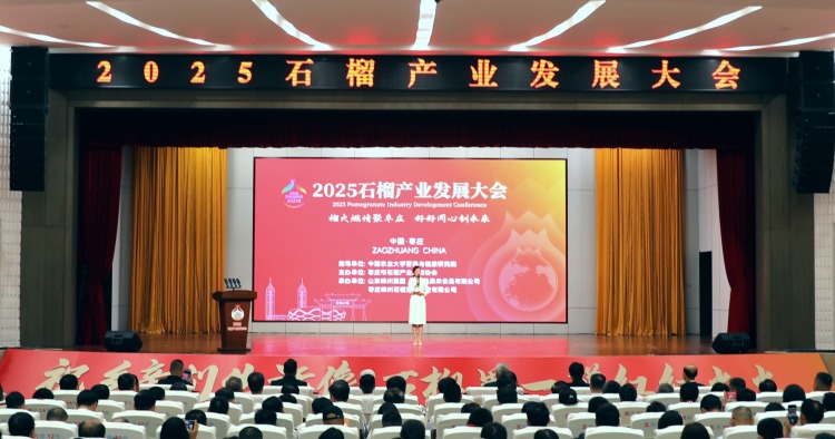 2025石榴产业发展大会在枣庄举行_fororder_9514cd8472d3d21752220cca23770ccc
