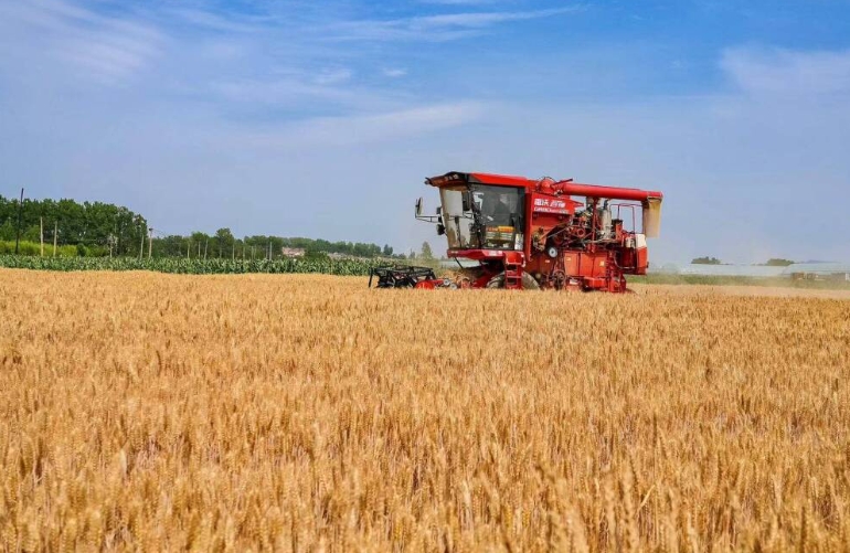 跨越山海 播撒粮食安全希望的种子——2025年国际粮食减损大会侧记