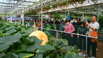 外国友人第一次体验济南烧烤，然后被圈粉了。帮想几句新媒体标题，要有趣的