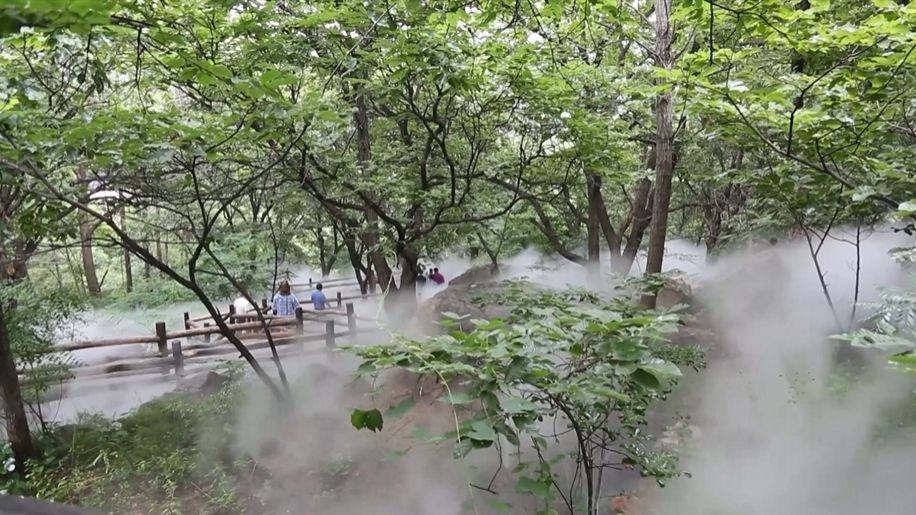 山东淄博：激活林业资源 赋能乡村振兴