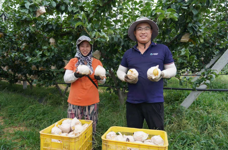山东莱阳谭格庄镇：让“谭乡好品”在希望的田野上一路生花_fororder_图片1