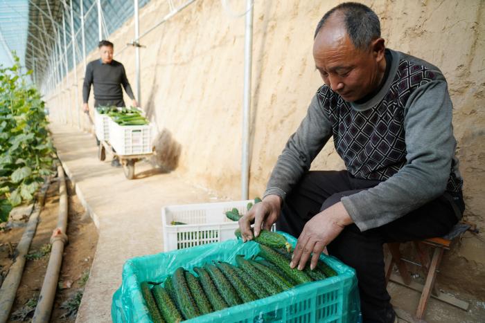 山东沂南:共富工坊助力乡村振兴