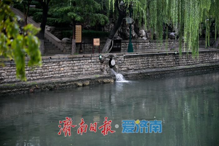 济南护城河迎丰水期 泉水奔流润古城