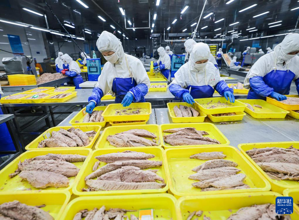 四中全会精神在基层｜山东：耕海牧渔充盈“蓝色粮仓”