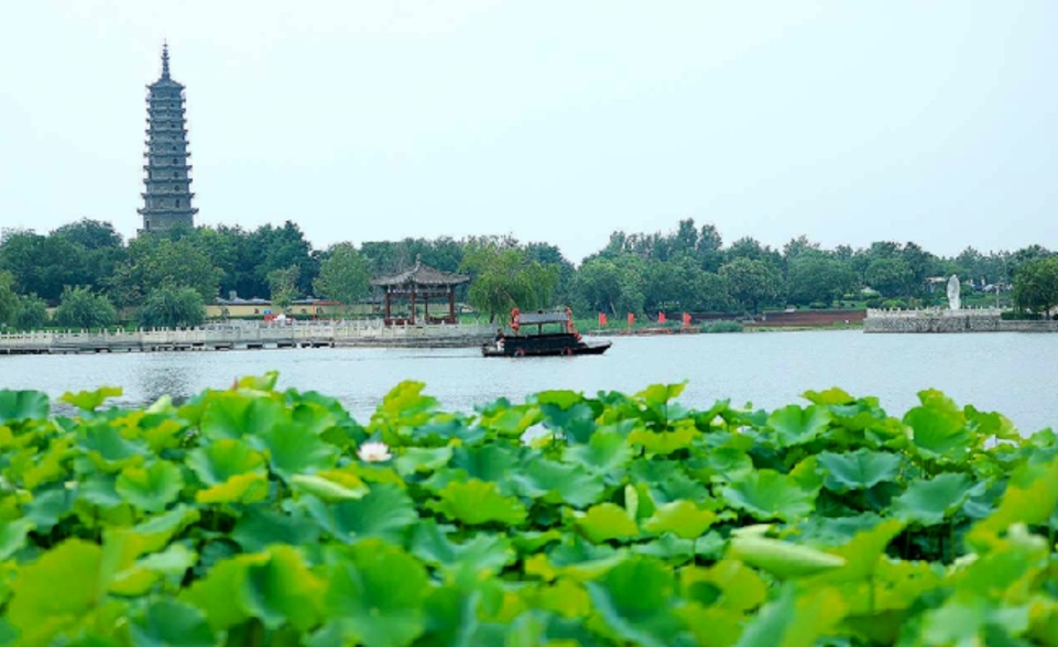 无棣古城荷花湾：乘舟碧波上 游客画中游_fororder_微信截图_20250715093829