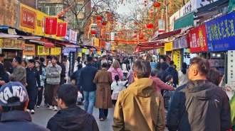 在线・新观察｜爆火三年后，淄博文旅为何热度更胜从前？