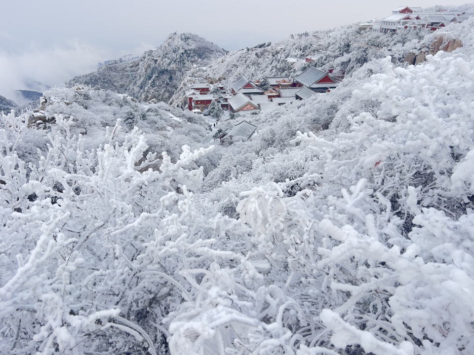 山东泰安：雪后泰山披银装 铲冰除雪保畅通