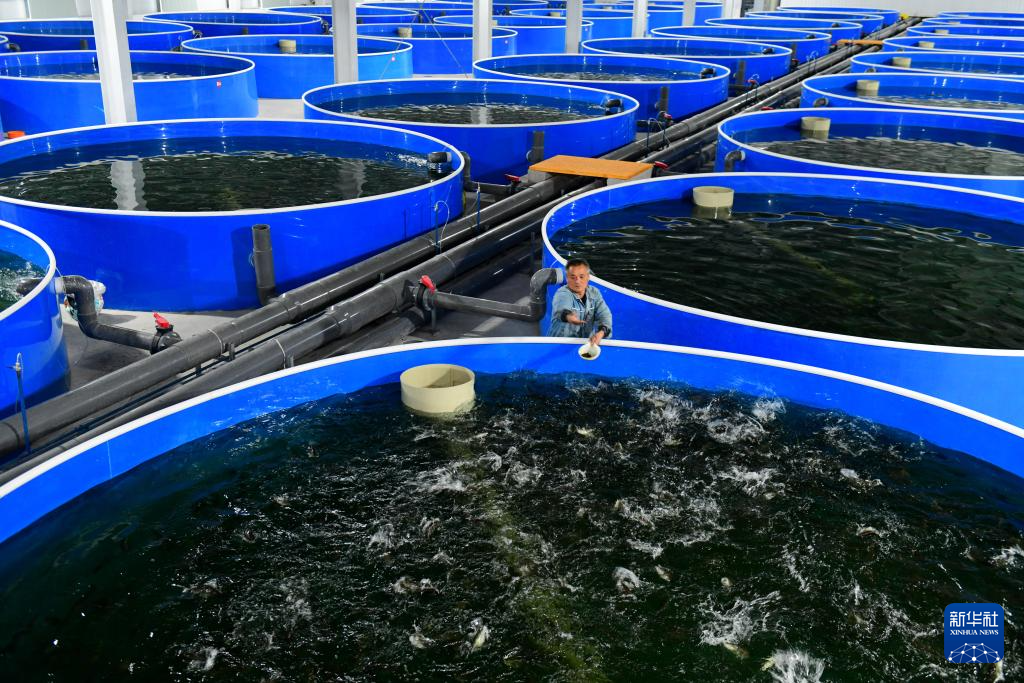 山东郓城：以产业兴旺助推乡村振兴