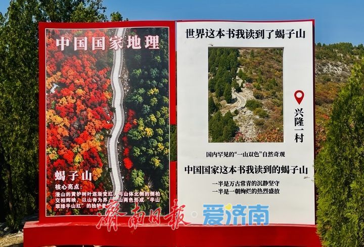 一山兩季!泉城蝎子山秋色漸濃