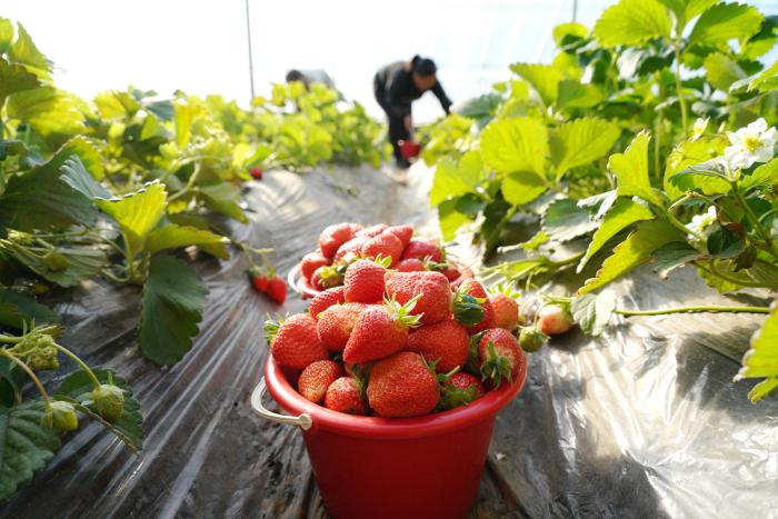山东沂南:共富工坊助力乡村振兴