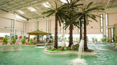 济南商河温泉亮相纽约时代广场