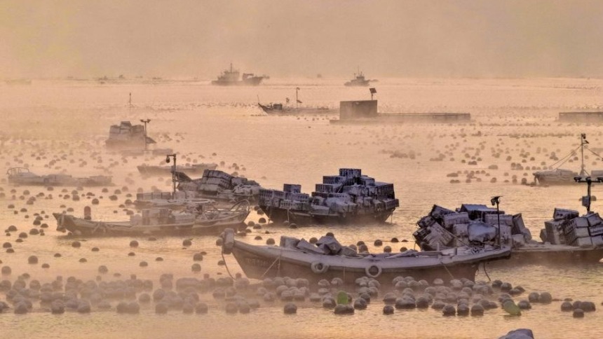 山东荣成：雪后海湾出现“海浩”景观