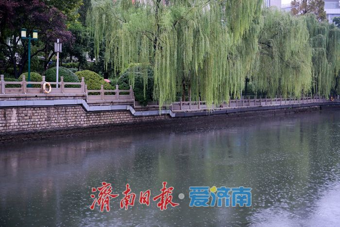 济南护城河迎丰水期 泉水奔流润古城