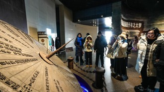 在齐鲁大地，遇见一个有文化温度的元旦假期