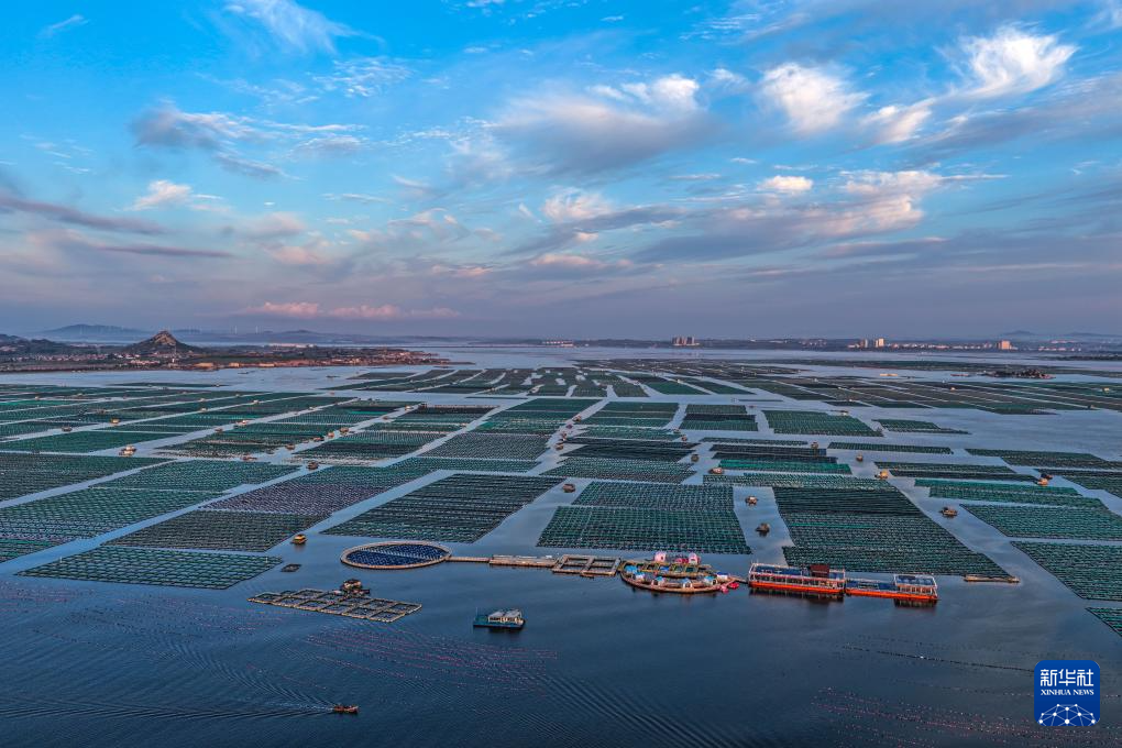 山东荣成：秋日耕海图_fororder_003