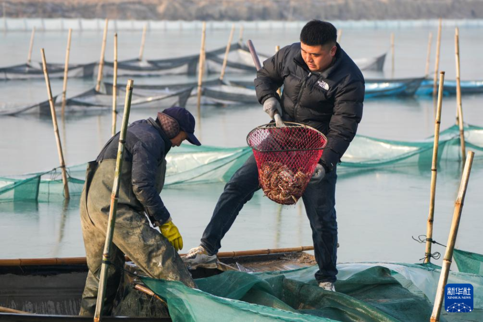 山东东平：冬季捕蟹忙_fororder_【新华社】4