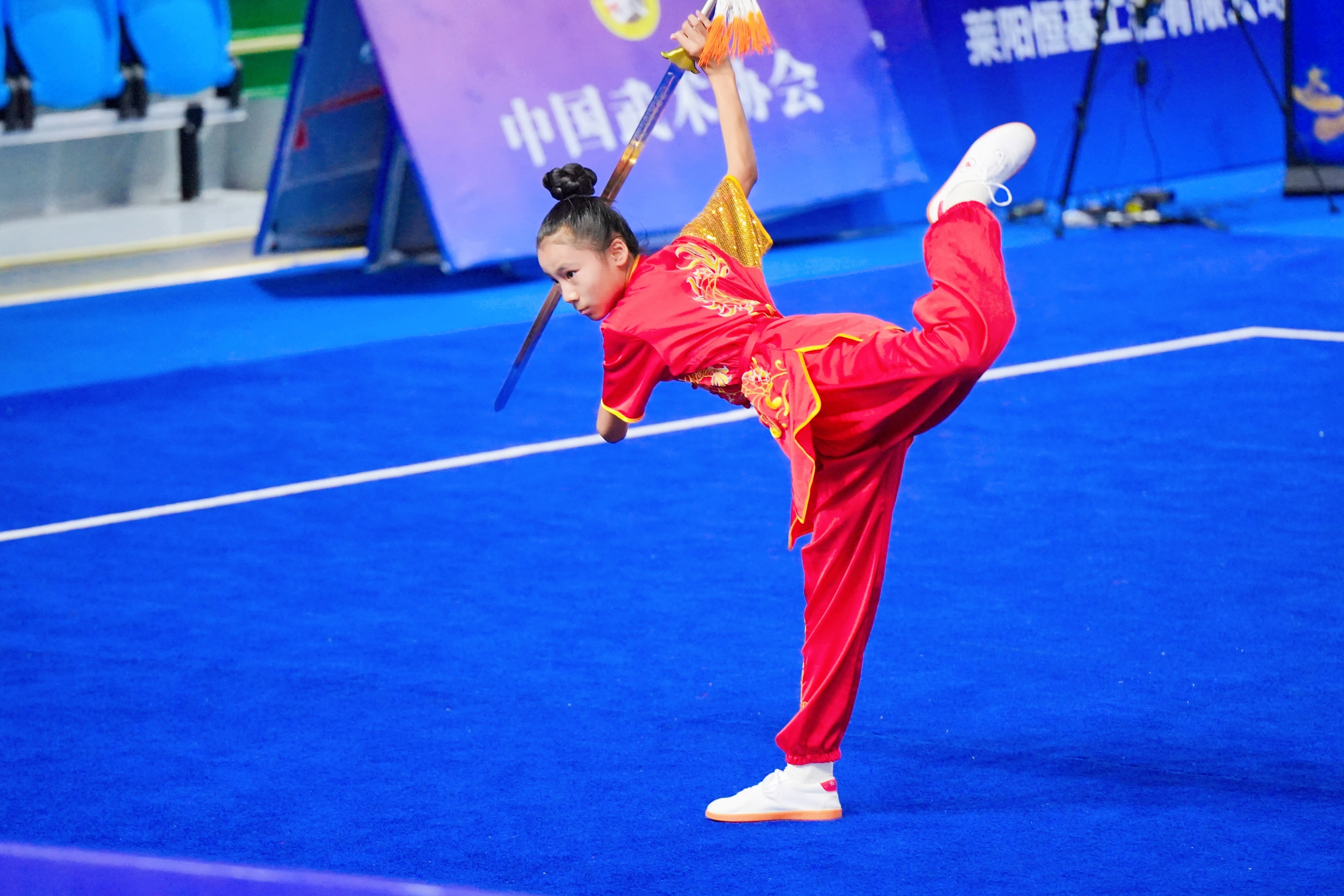 “鲁花杯”首届中国·莱阳国际螳螂拳大赛闭幕_fororder_微信图片_20260804181544