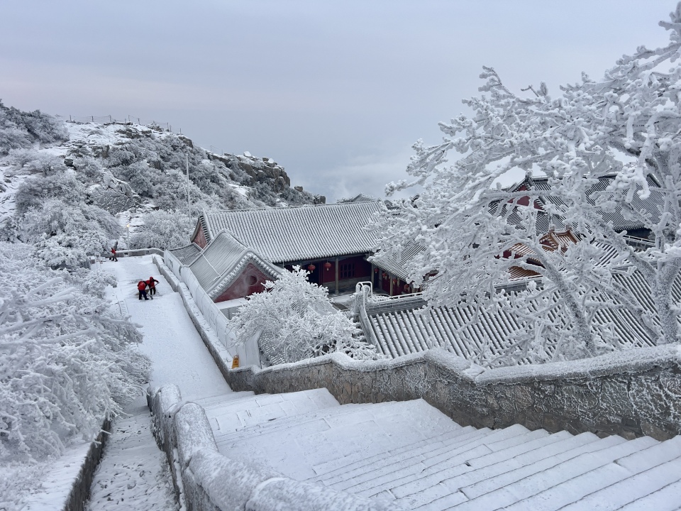 山东泰安：雪后泰山披银装 铲冰除雪保畅通