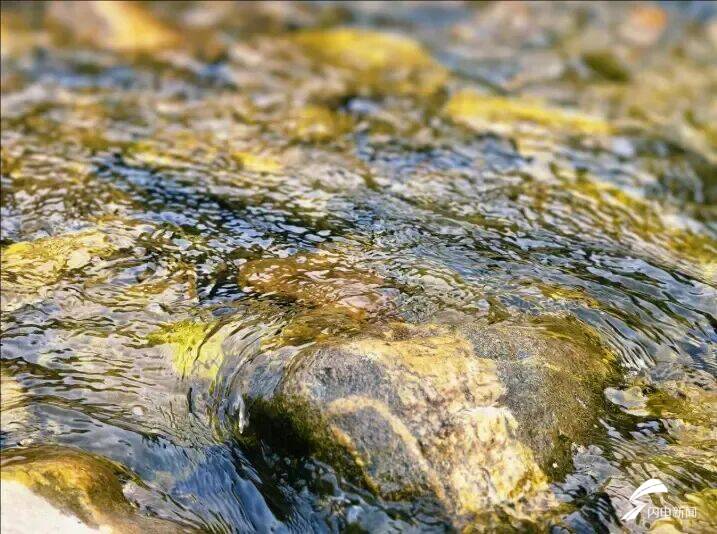 山东泰安：春到彩石溪 花开醉春风