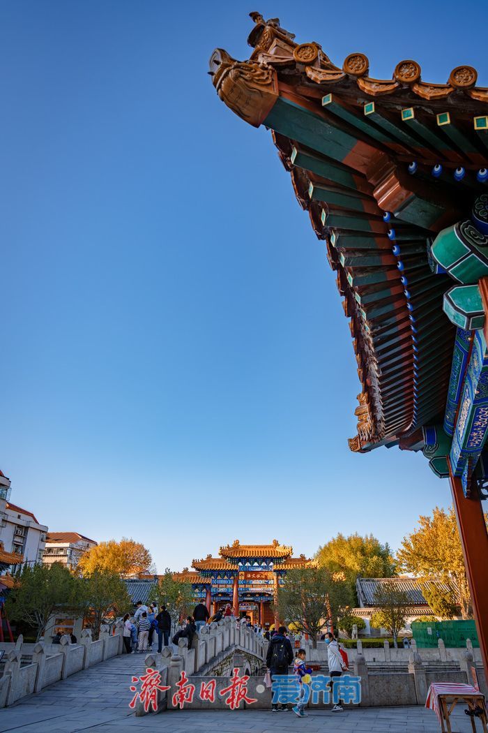 银杏金黄映红墙，济南府学文庙尽显秋韵